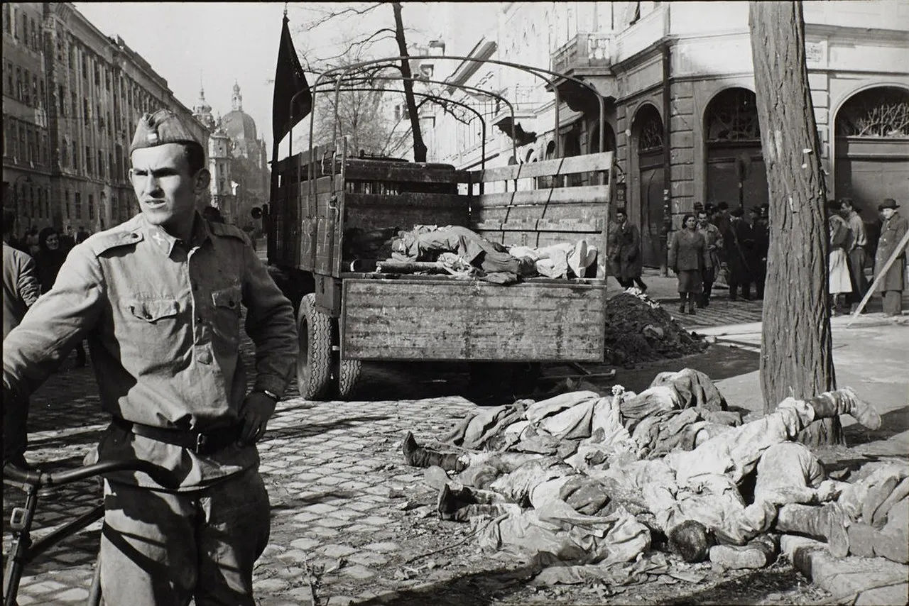 Венгерский мятеж 1956 на фотографиях Эриха Лессинга
