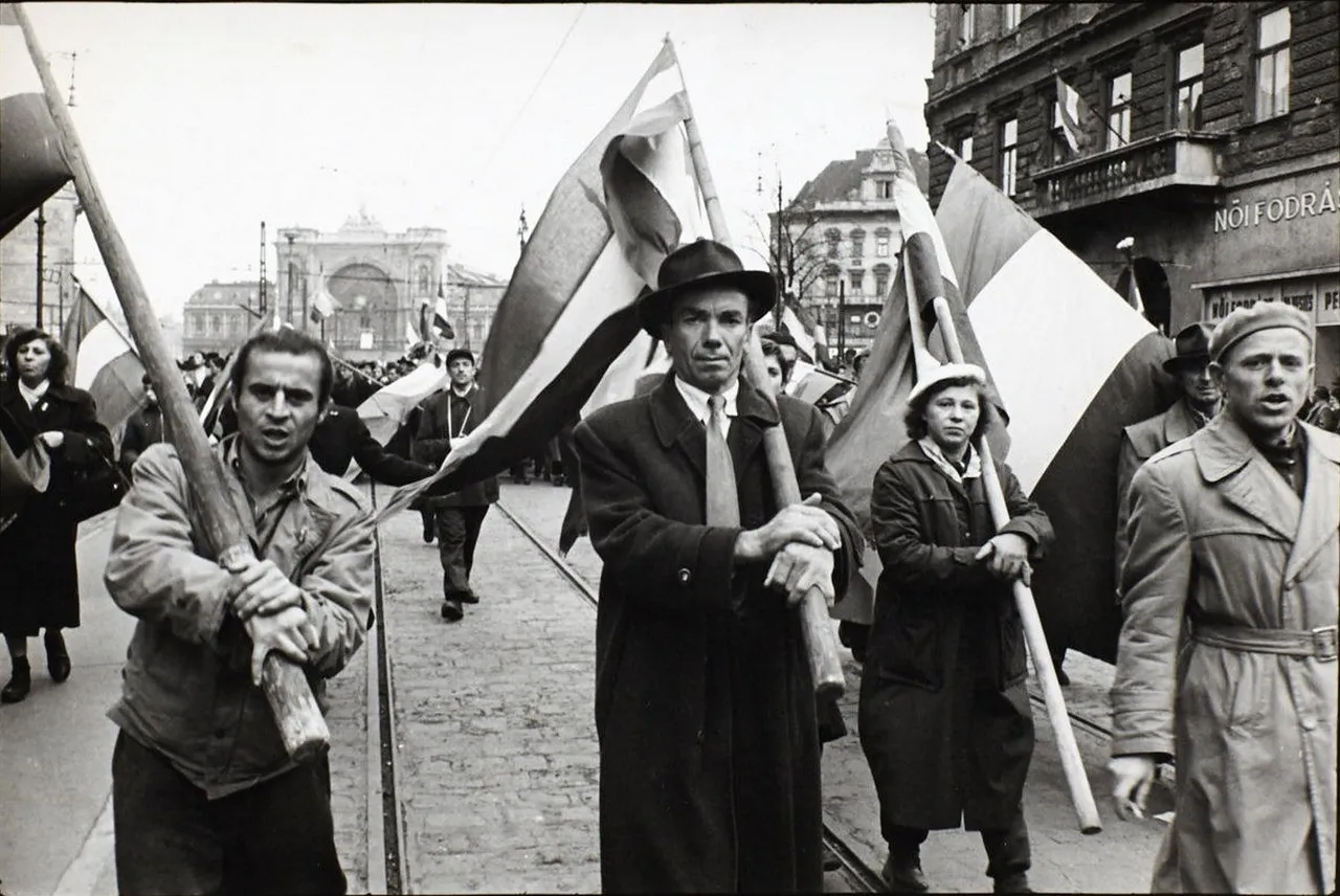 Венгерский мятеж 1956 на фотографиях Эриха Лессинга