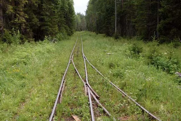 Пи́нюг — посёлок городского типа в Подосиновском районе Кировской области России.