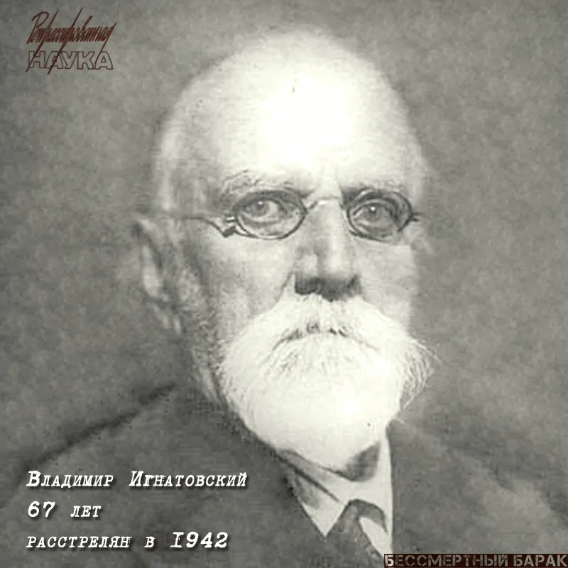 Игнатовский Владимир Сергеевич (1875 – 1942)