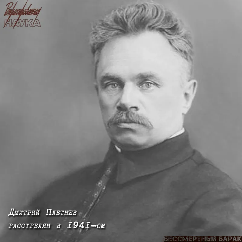 Плетнев Дмитрий Дмитриевич (1871 – 1941)
