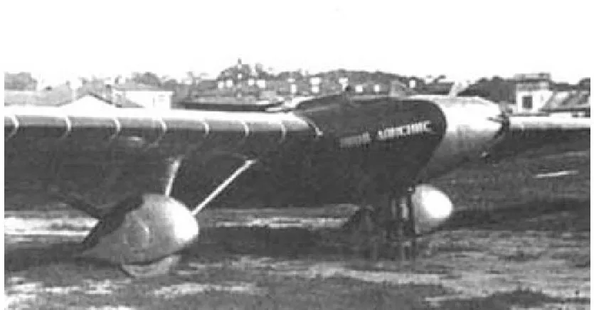 Планер Г-31